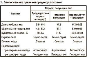 Признаки Среднерусских пчёл
