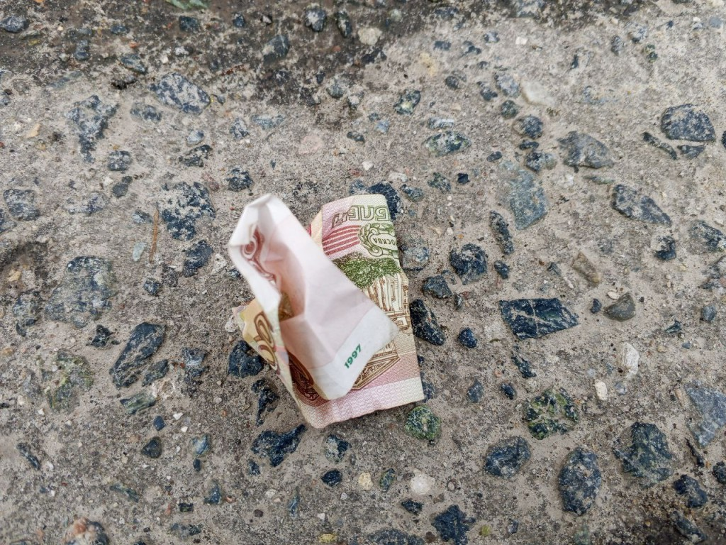 Фото: REGIONS/Василий Тремасов