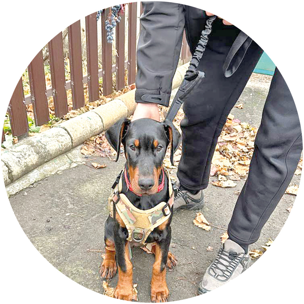 Фото: Елена Сахарова