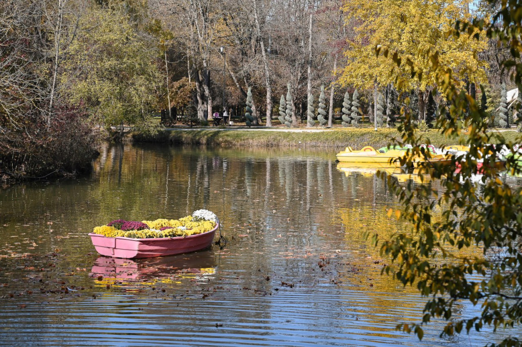 Фото: Гала Амарандо