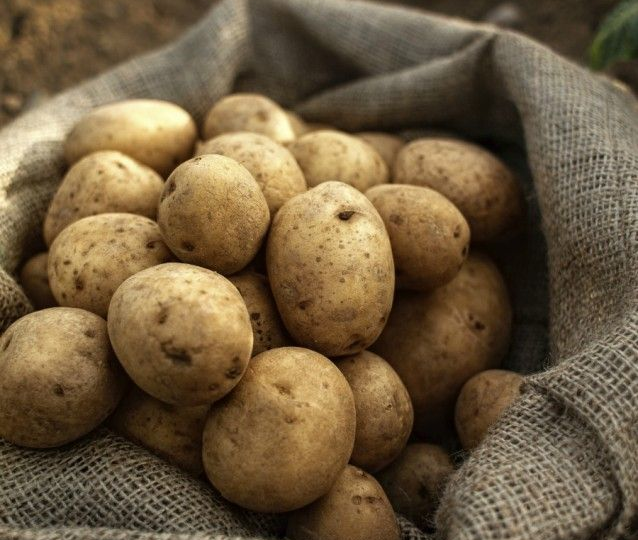 Сидераты для картофеля: 10 растений, которые сделают землю пушистой и плодородной