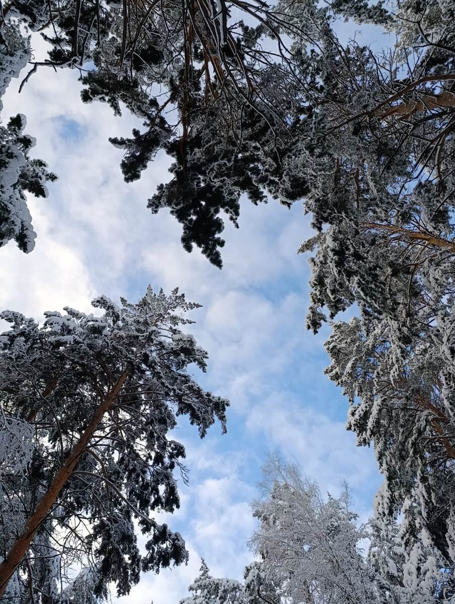 Князь Балконский, а какие слова вы бы сказали вот о таком небе?)