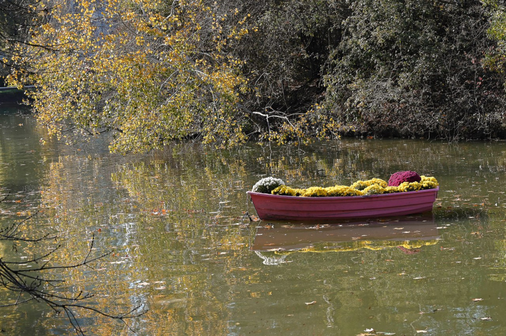 Фото: Гала Амарандо