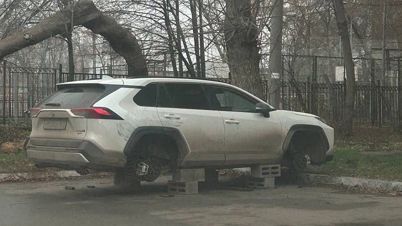 Фото: vk.com/truesamara