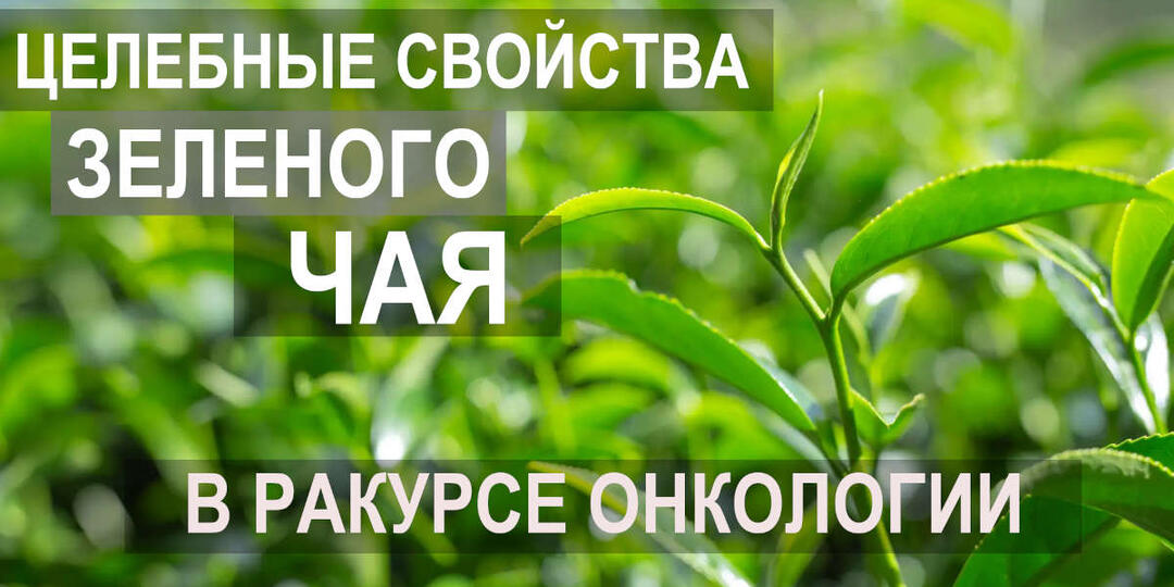 Целебные свойства зеленого чая в ракурсе онкологии