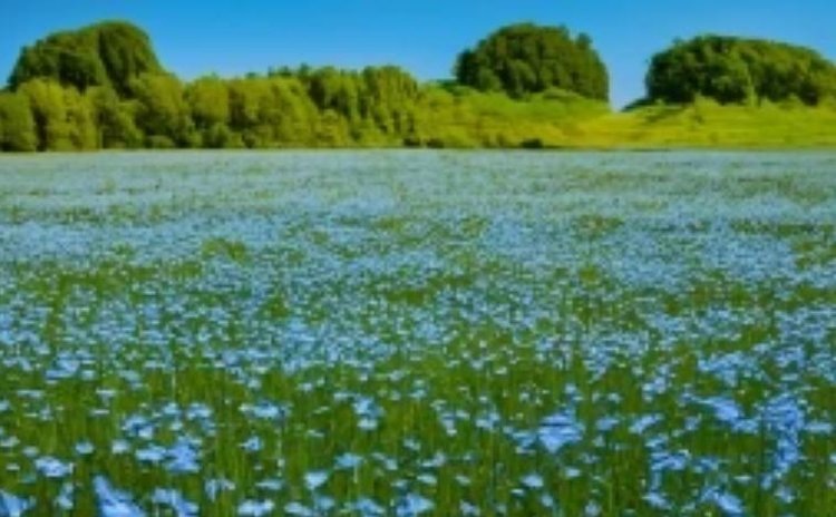    Фото: Медведева Анна, AgroXXI.ru