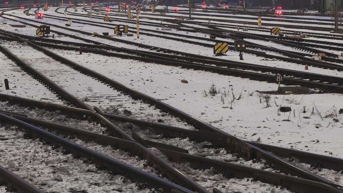    Фото: Markus Lange/globallookpress.com