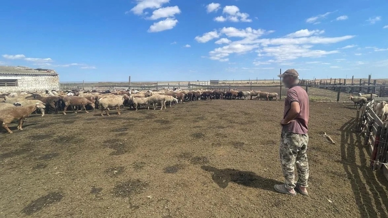      Фото: УФСБ России по Ставропольскому краю