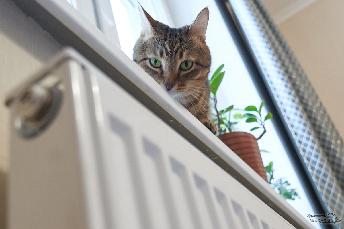    Фото: Лидия Аникина © ИА «Уральский меридиан»