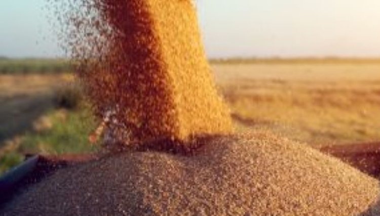    Фото: Россельхознадзор РФ