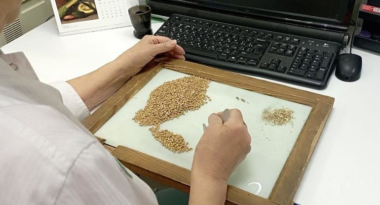    Фото: ФГБУ ЦОК АПК