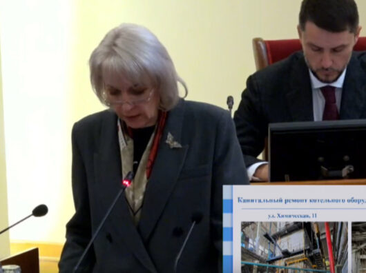    Светлана Камбулова // Скриншот с прямой трансляции заседания Правительства Ростовской области с участием глав муниципалитетов.