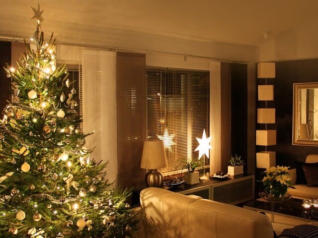    Фото: 123RF.com/anterovium