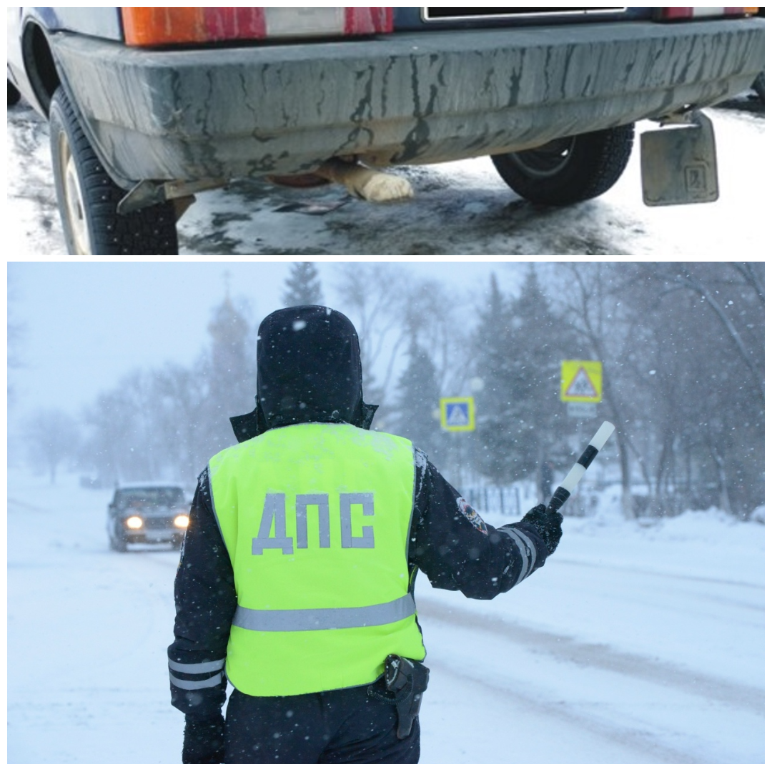  Реальная картина зимнего дня: моя невнимательность, хрупкий пластик и бдительный инспектор.
