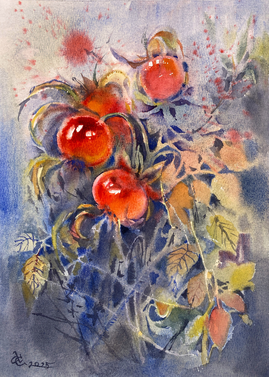 Осенняя акварель с шиповником
