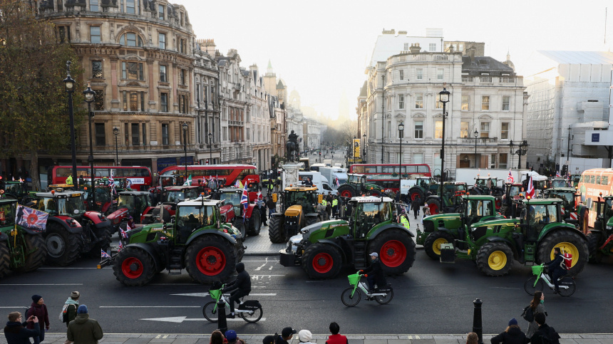    Фото: Reuters/Jack Taylor; 5-tv.ru