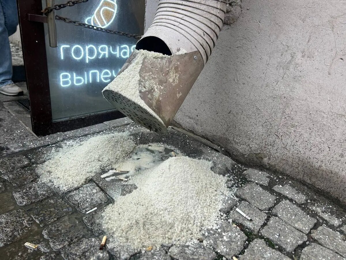    Фото: читатель Мойки78