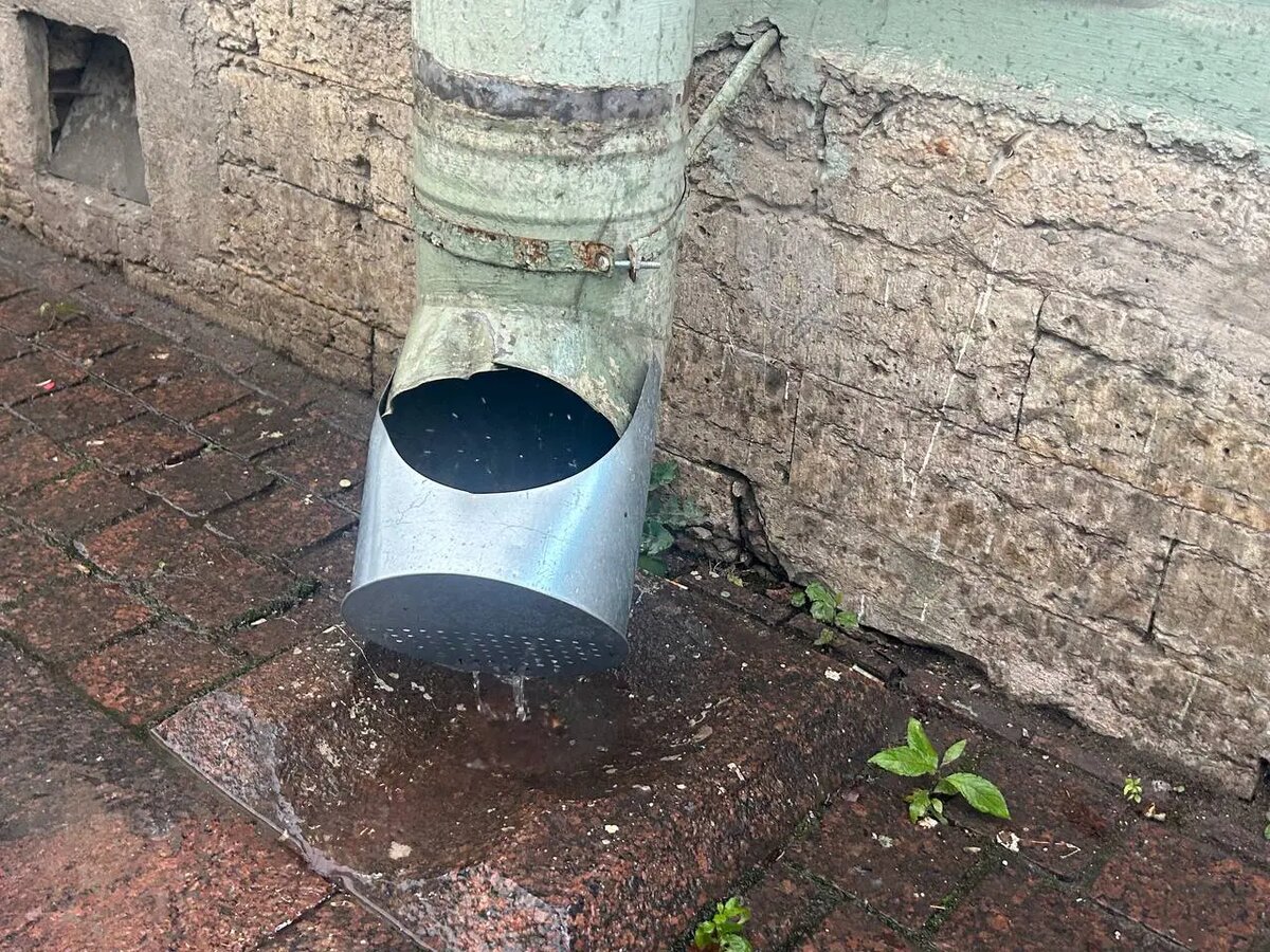    Фото: читатель Мойки78