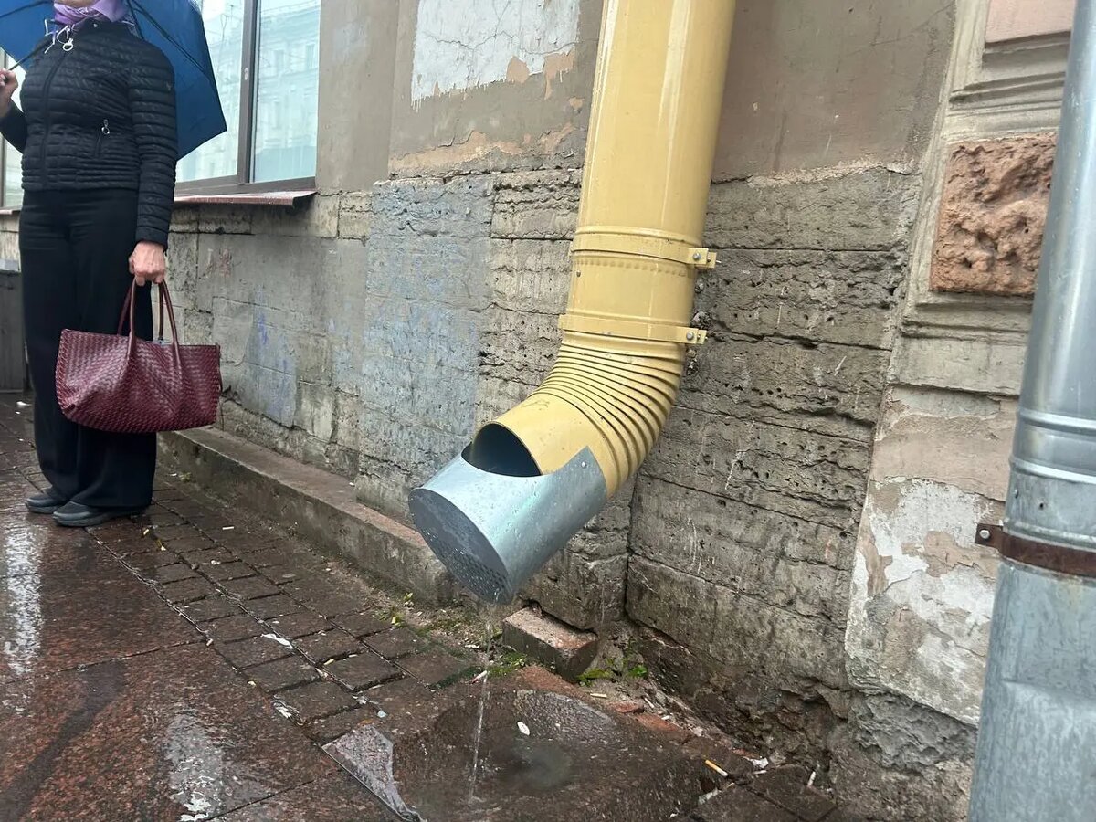    Фото: читатель Мойки78