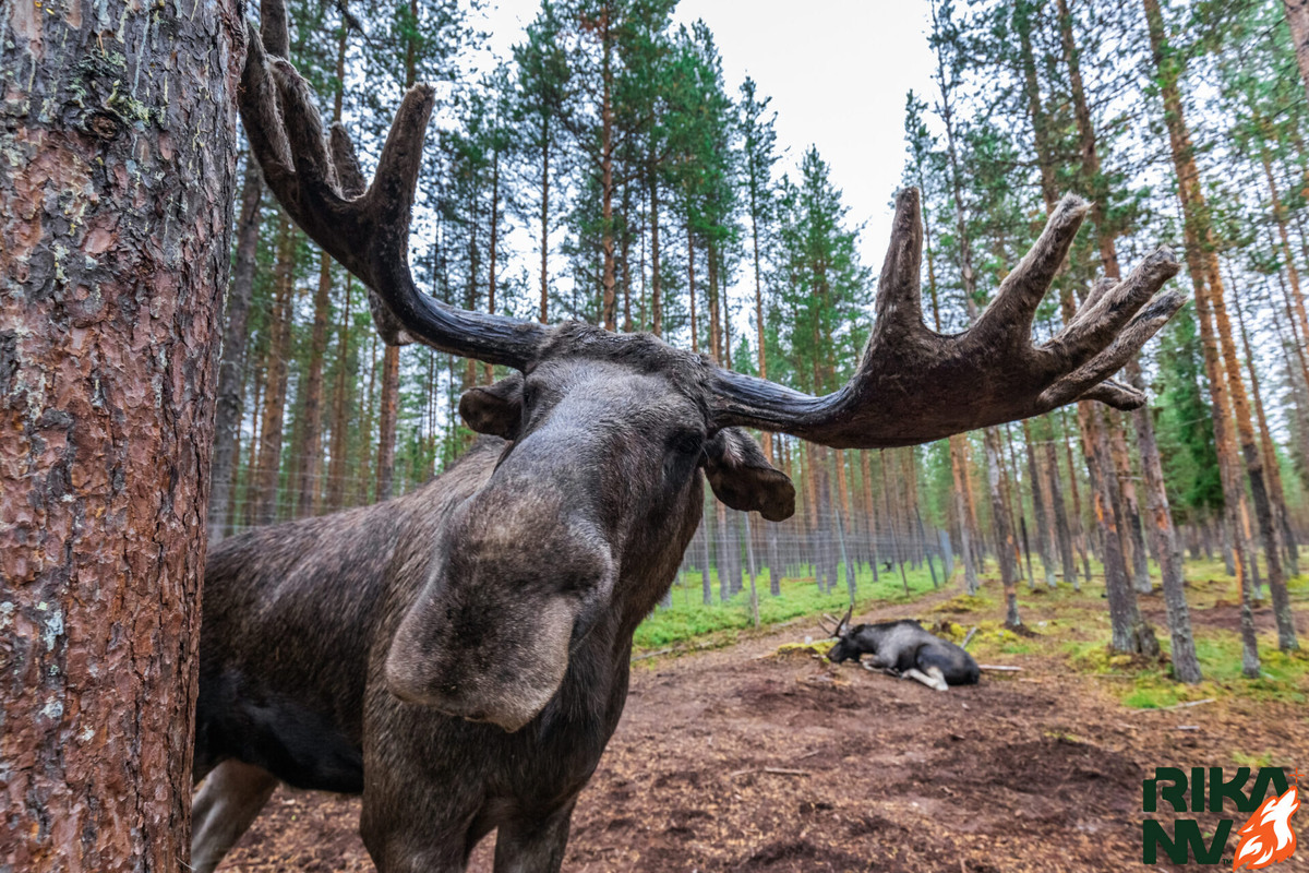 А чем это тут у вас пахнет?