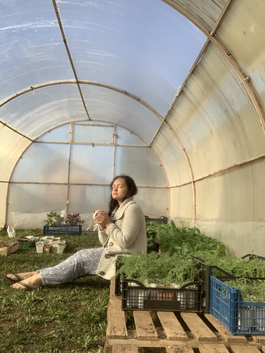 Это моя вторая теплица, еще не оборудована, но я безумно рада, что теплой площади для растений стало больше 