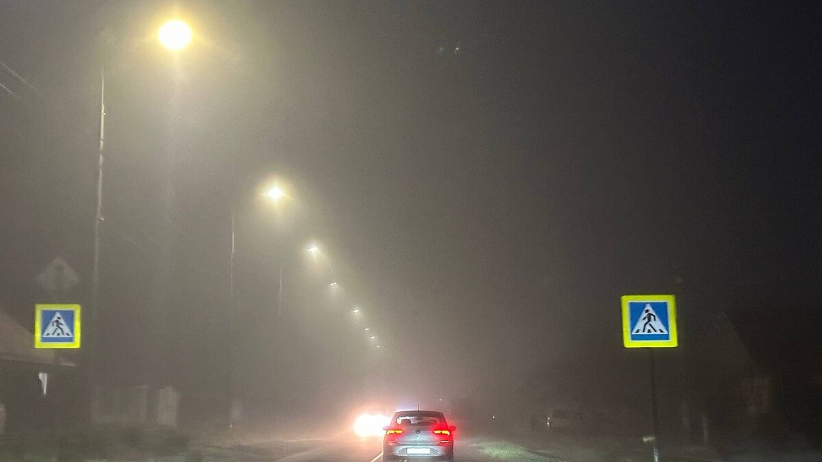    Фото: телеканал «Краснодар»