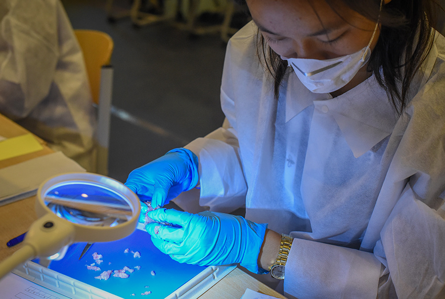 Фото: International Biology Olympiad