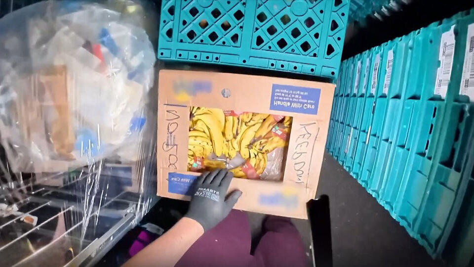 ФОТО: Кадр из программы "Загадки человечества", РЕН ТВ