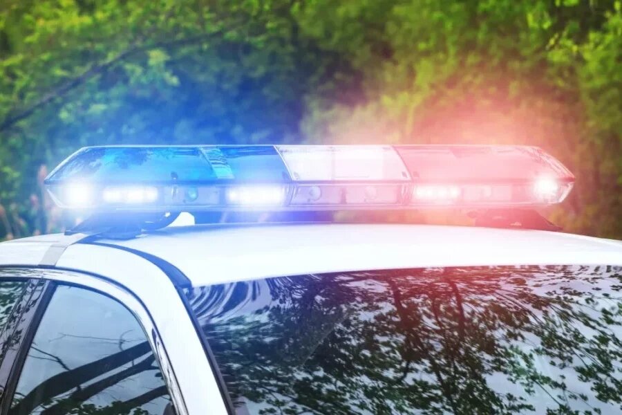 Видео: пресс-служба УВД по городу Сочи