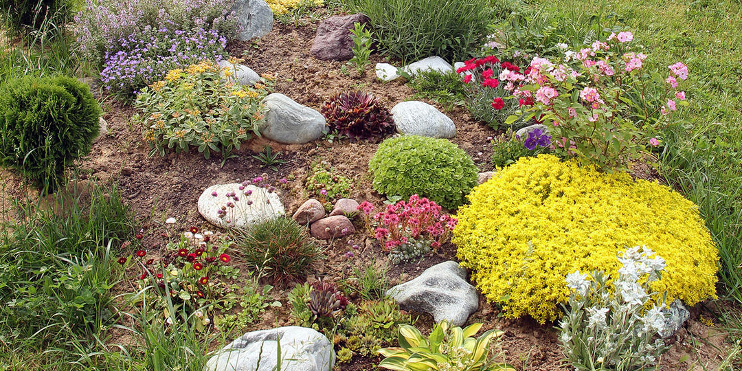 Создание альпийской горки: планирование 🏔️