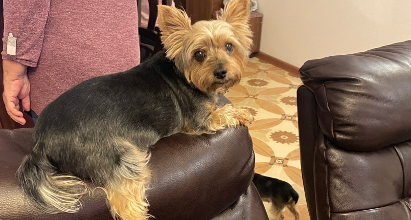    Автор фото - Анна Ефимова