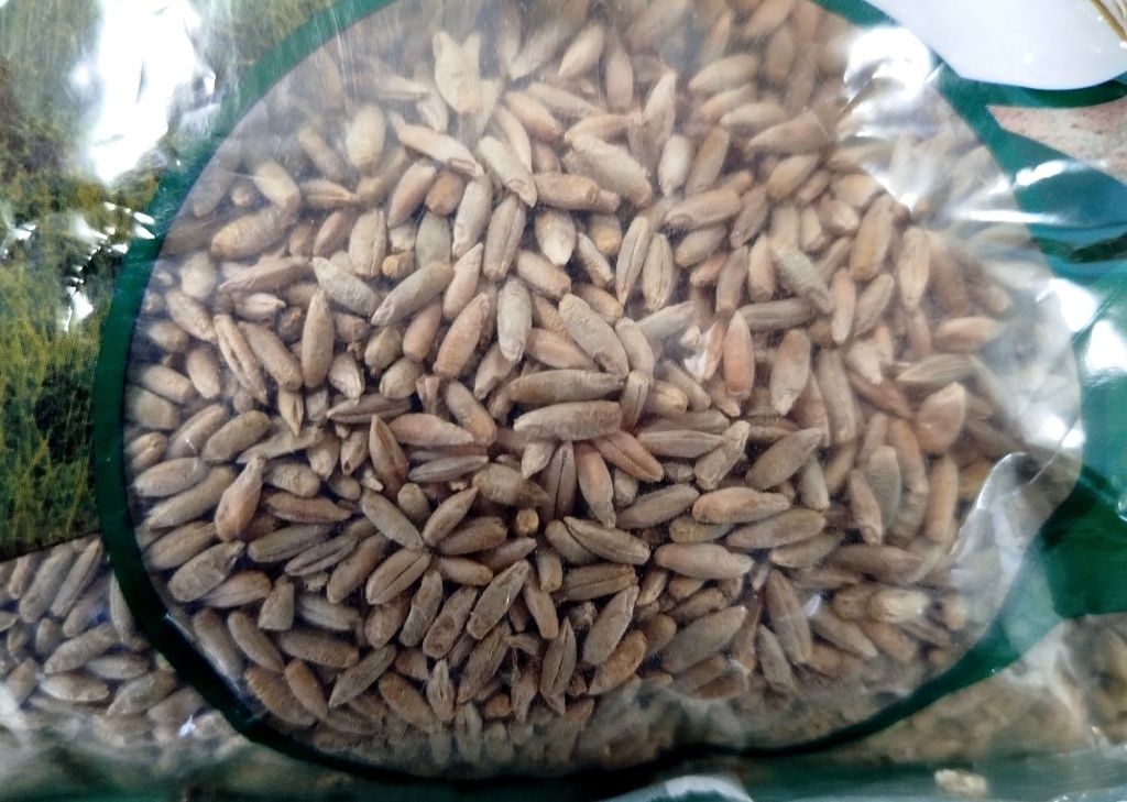  Рожь озимая