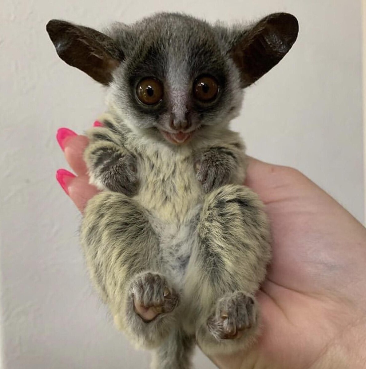 Фотография из интернета