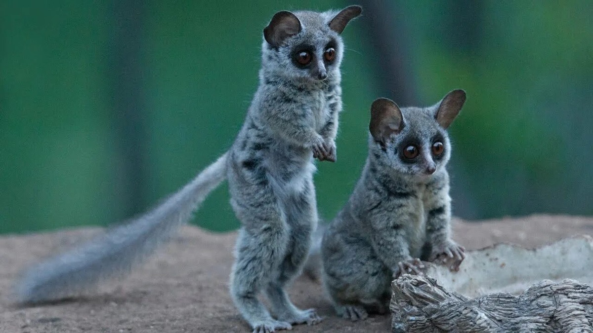 Фотография из интернета