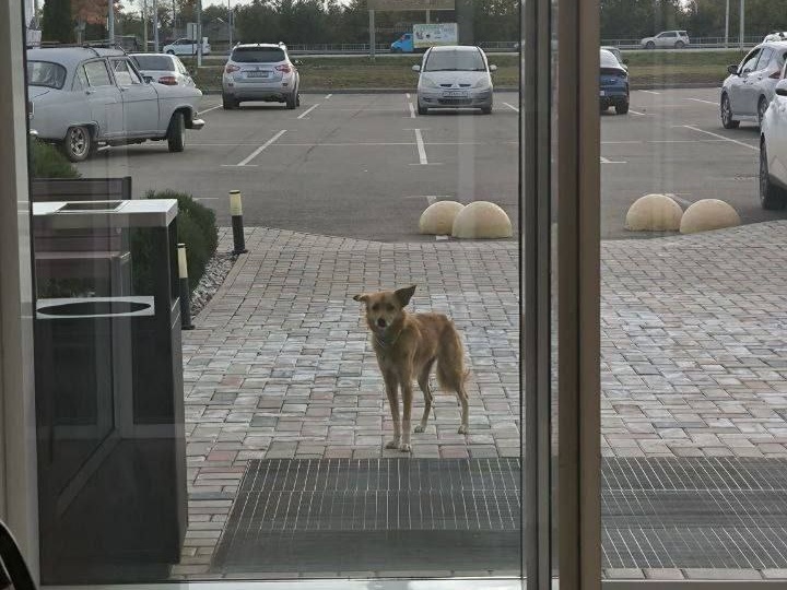 💚 Долгая дорога домой и долгожданная встреча