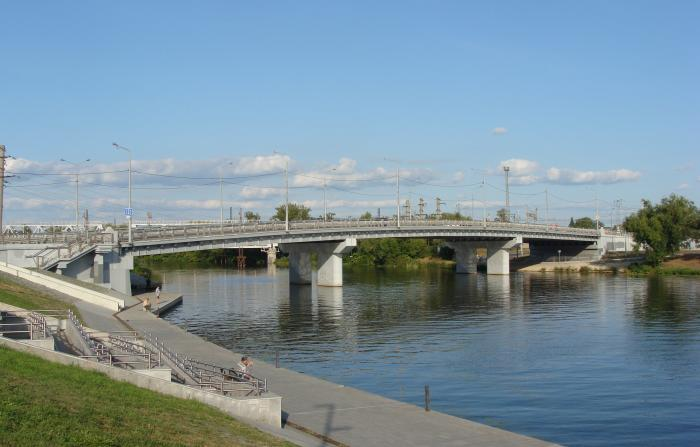 Бакунинский мост (вид с набережной)