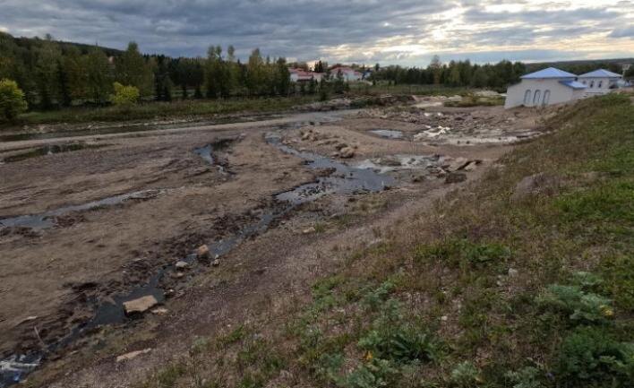    Фото: vk.com/aleksandr_veselov_ecology