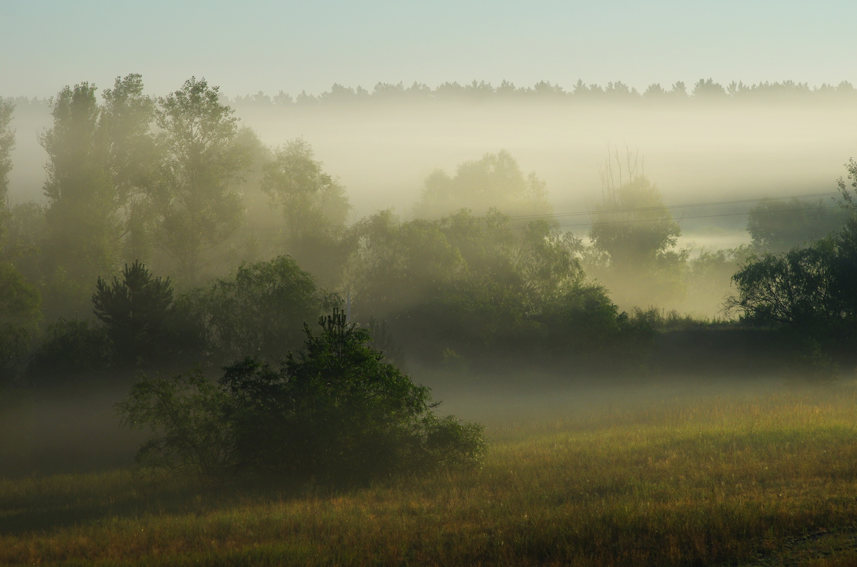 Источник: яндекс картинки