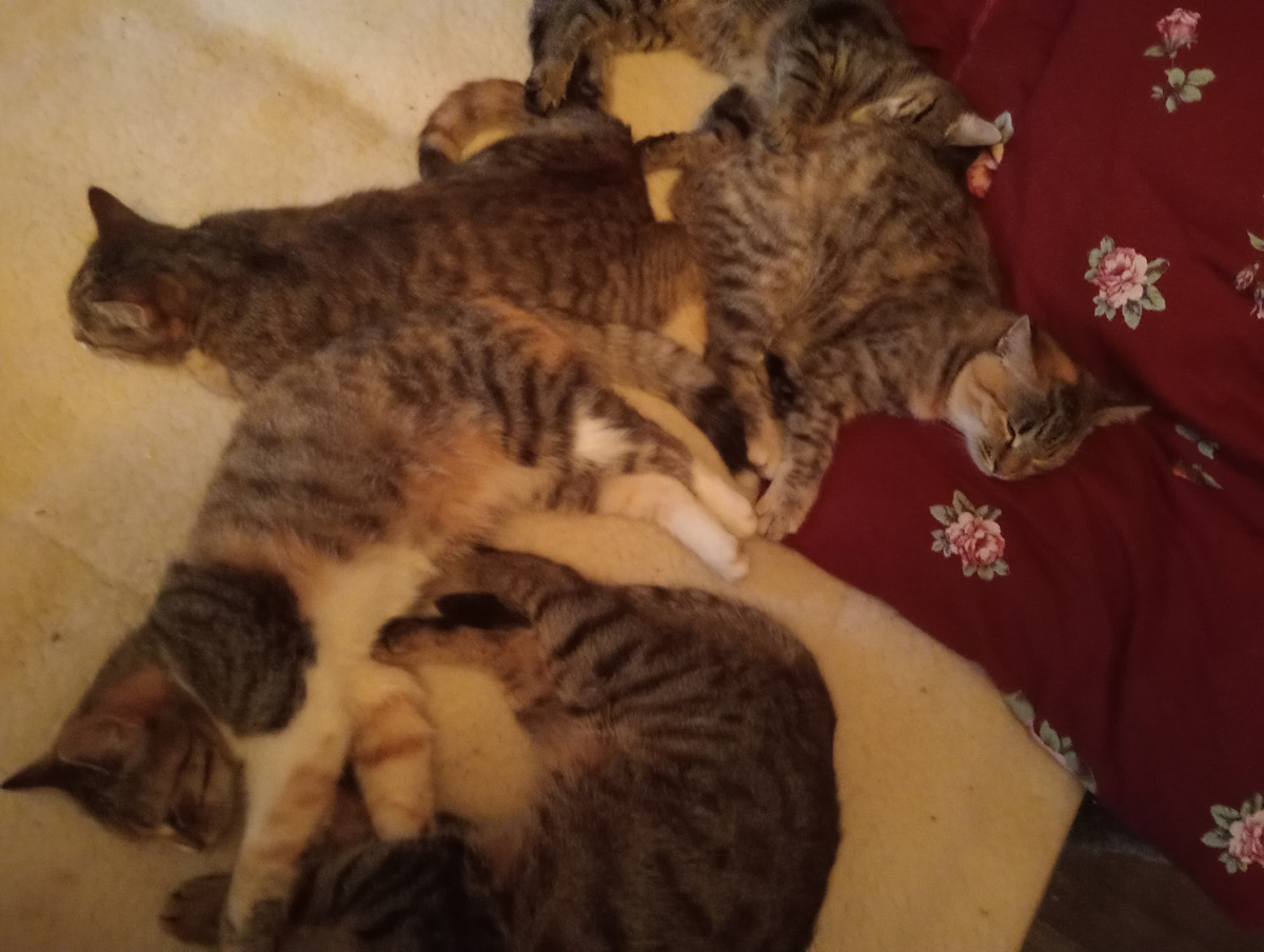 Заснули моментально!