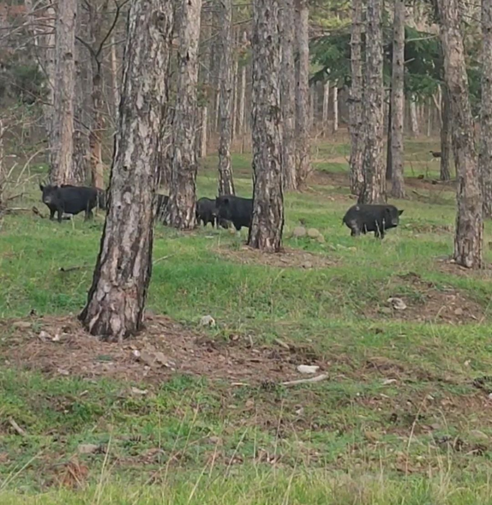 Фото: Юлия Захарова