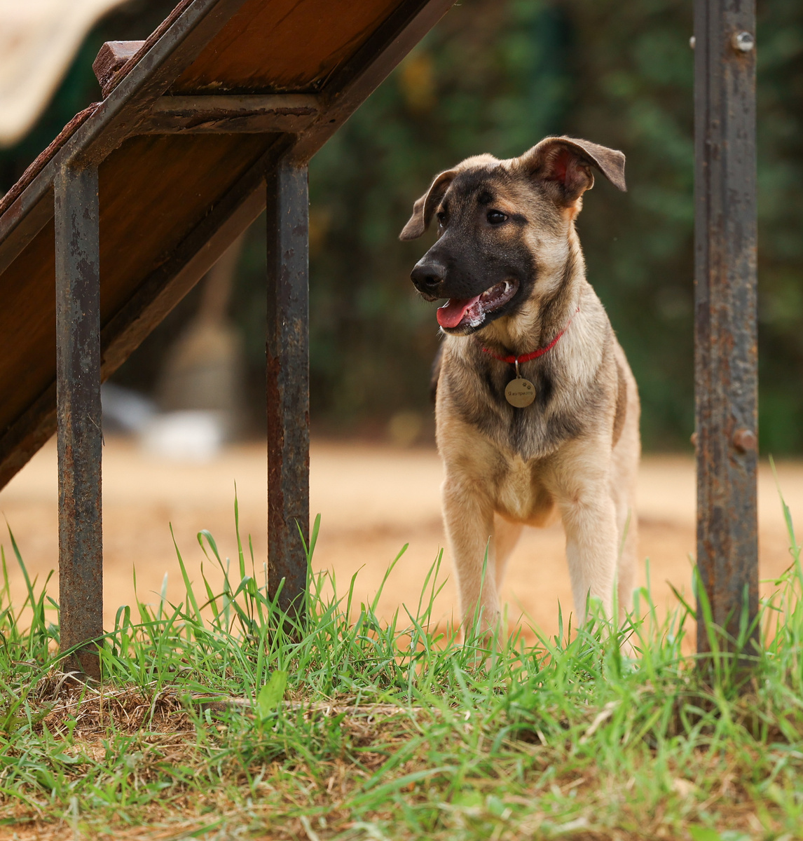 Сама не понимаю и откуда у меня такие умные мысли в голове появляются теперь:)