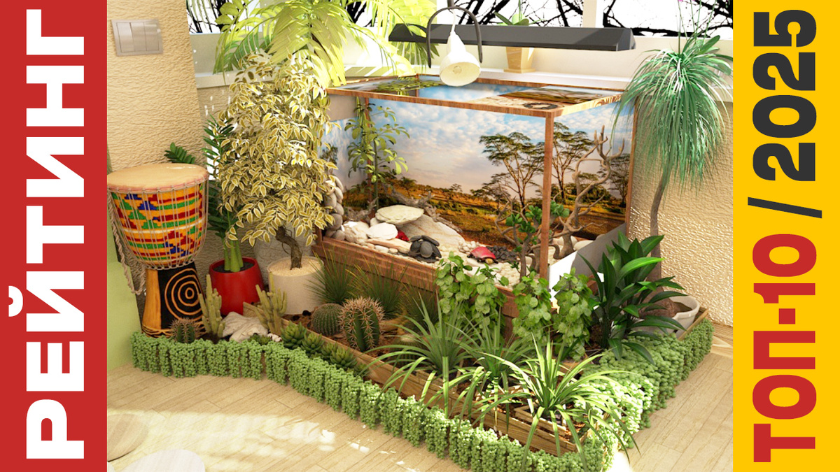 ТОП-10 Террариумов 2025 года: Рейтинг лучших моделей