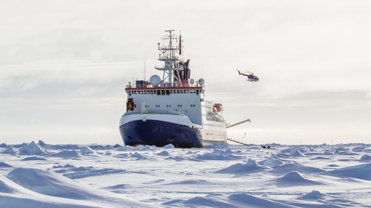    Фото: I. Noyan Yilmaz / Shutterstock / Fotodom