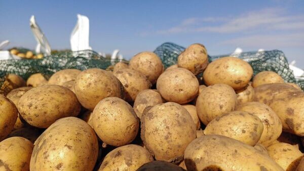    © РИА Новости Крым