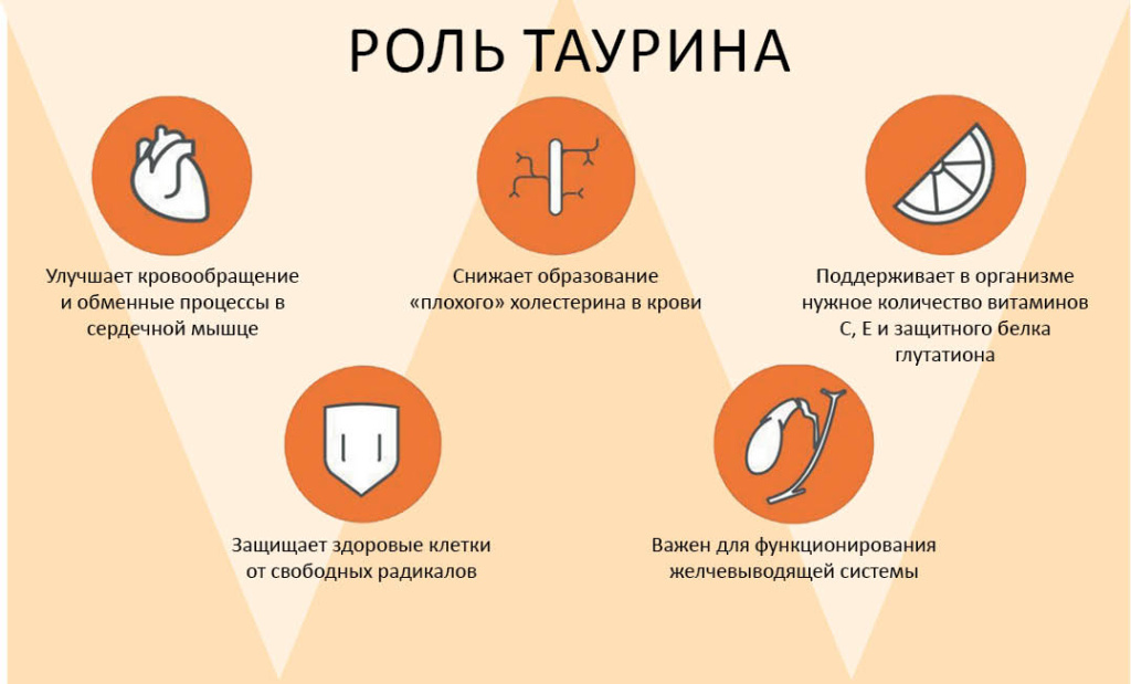 Фото: Инфографика: forumjizni.ru
