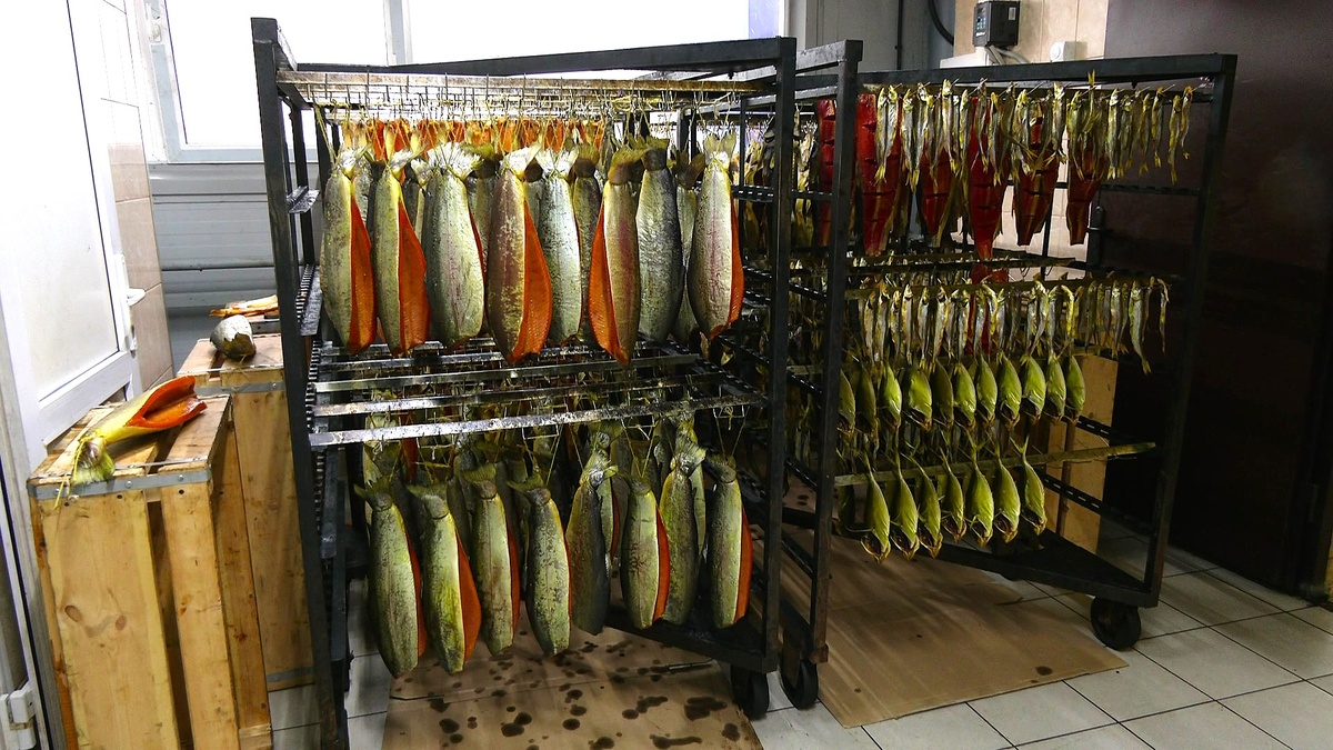    Аппетитная экскурсия - сургутским школьникам показали, как коптят рыбу