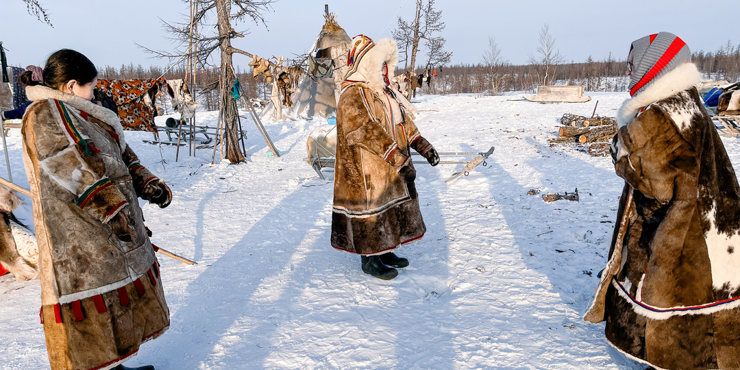 Как живут женщины-оленеводы в тундре при -30°С