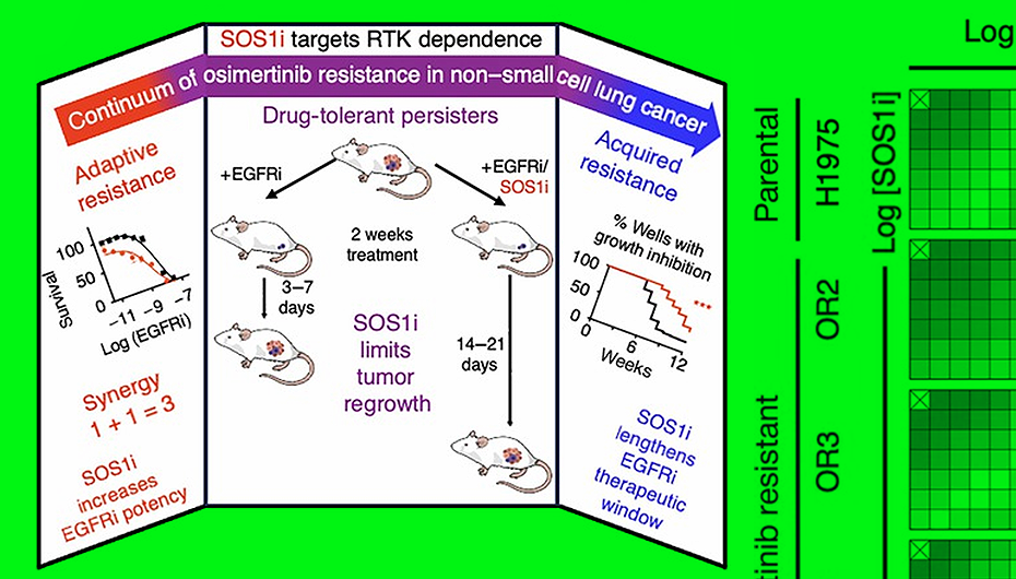   N+1; Daley et al. / Nature 2025