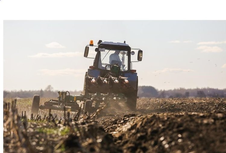    Фото: Минсельхоз Приморского края