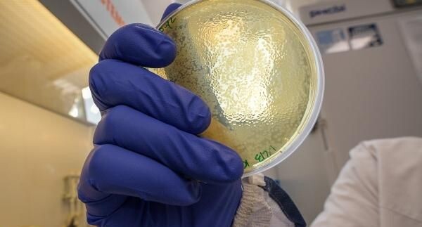    РИА «Новости»